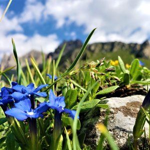 Meet your Posher, Devin